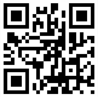 Mobile QR